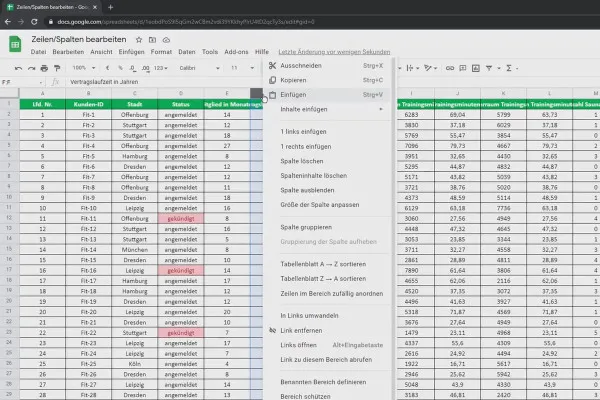 Tutorial Google Sheets: 5.1 Editarea rândurilor și coloanelor