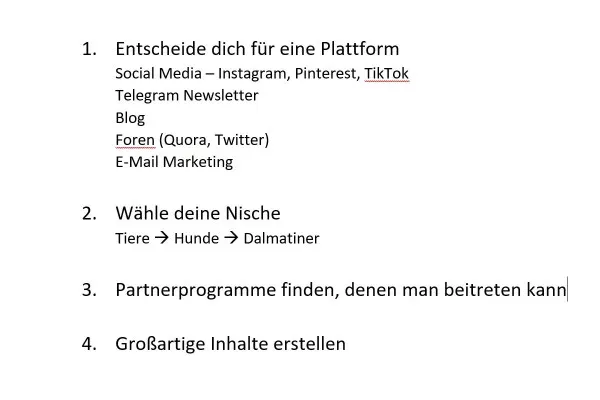 Affiliate-Marketing: 2.6 | Der Masterplan – Schritte zum Erfolg