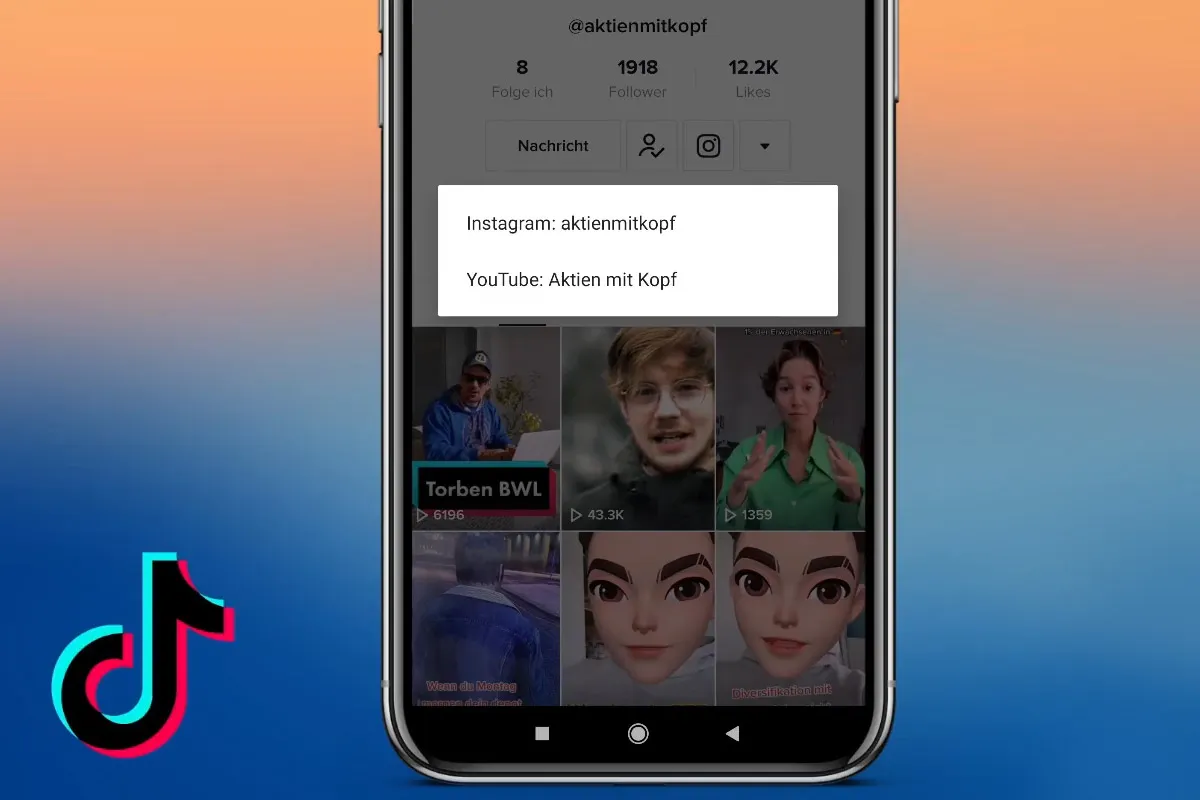 TikTok-Marketing-Tutorial: 4.2 | Link in der TikTok-Biografie