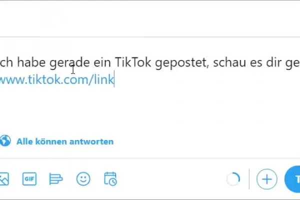 TikTok-Marketing-Tutorial: 12.6 | TikTok-Profil bewerben: Twitter