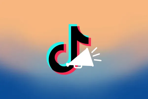 TikTok Ads: 1.2 | Was sind TikTok Ads?