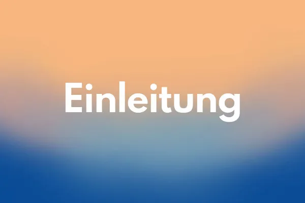 TikTok Ads: 1.1 |  Einleitung