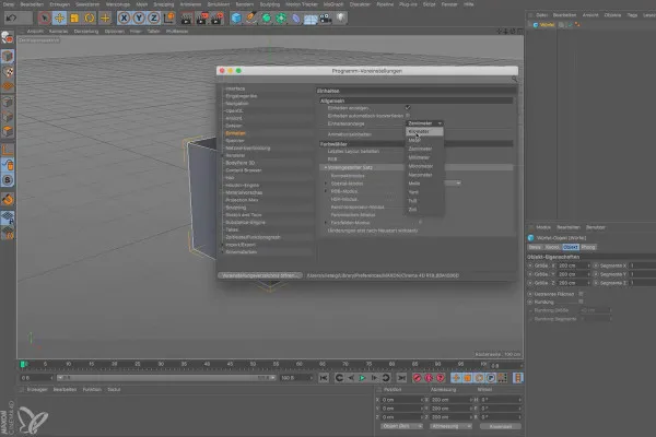 Cinema 4D für Einsteiger – 3D-Praxis: 1.3 Einheiten