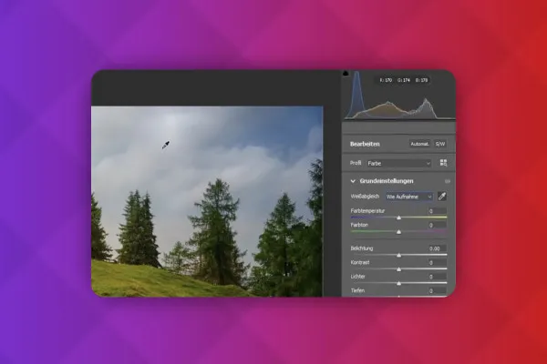 Photoshop-Techniken: 3.31 | Weißabgleich automatisch & manuell