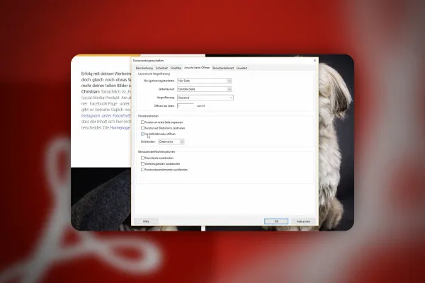 Messerscharfe Acrobat-Rezepte: 1.16 | Vollbildmodus beim Öffnen der PDF aktivieren