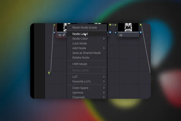 DaVinci Resolve: 6.5 | Luts importieren und anwenden