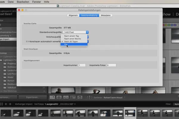 Lightroom pentru începători și avansați: 01 - Introducere - 1.3 - Setări de catalog