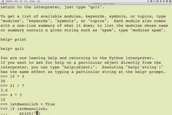 Programarea în Python - 1.4 Python în linia de comandă.