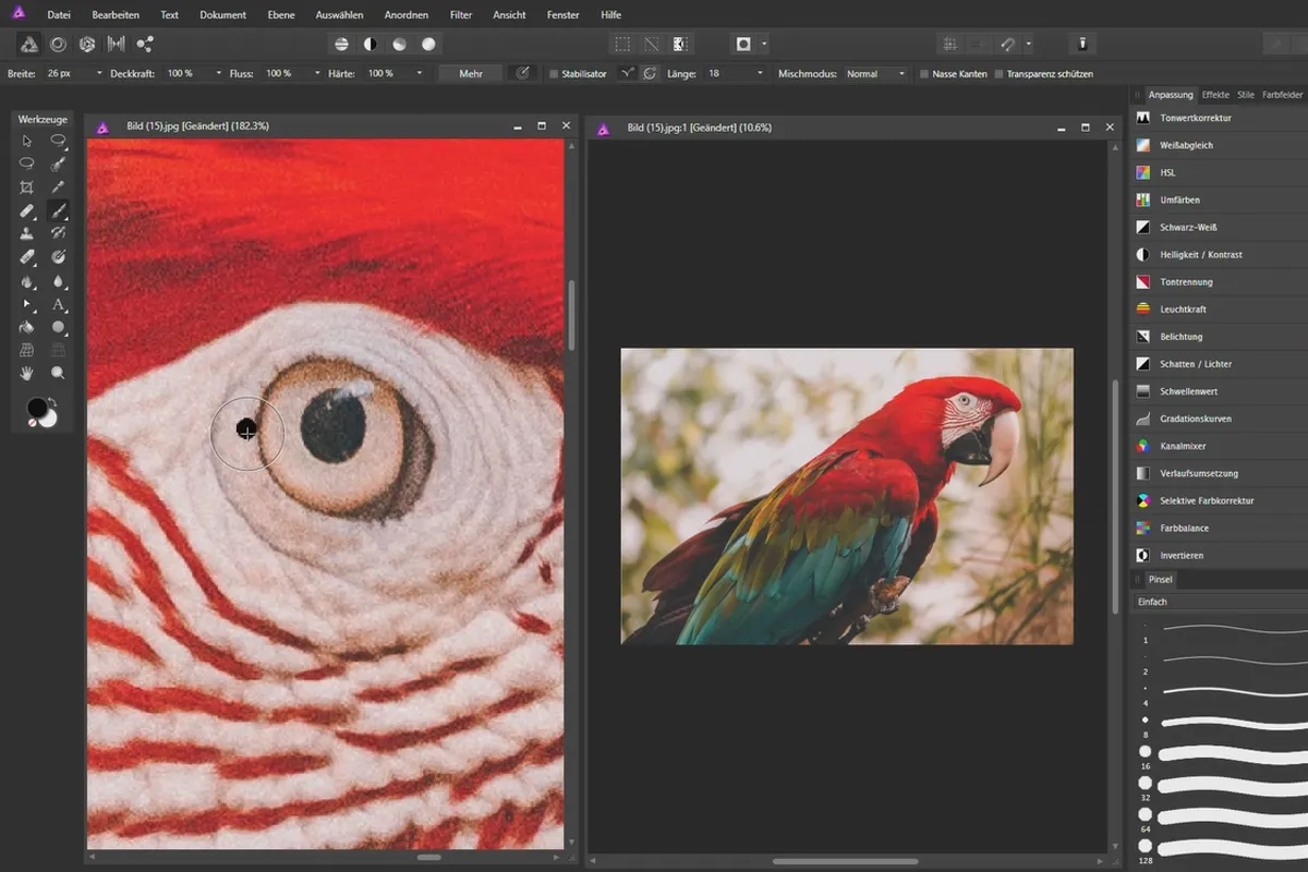 Tutorial pentru Affinity Photo - Fundații: 1.7 | Navigarea printr-o imagine