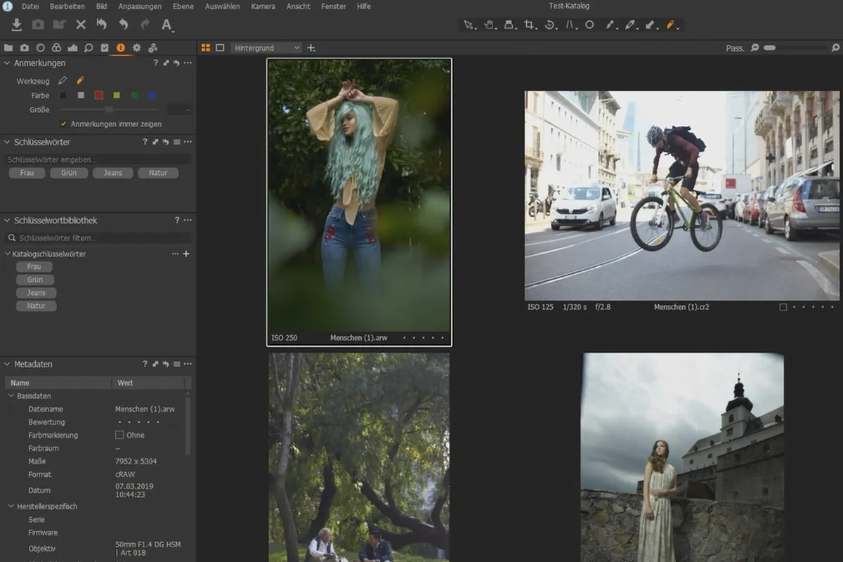 Tutorial Capture One Pro: 2.3 | Metadate