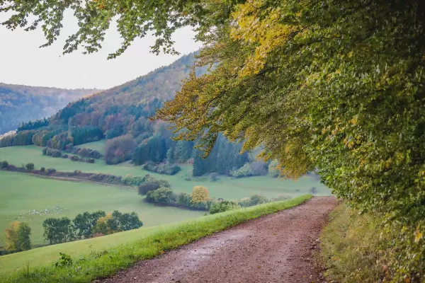 Herbststimmung mit dem Lichtemotionist – 10 Herbstweg