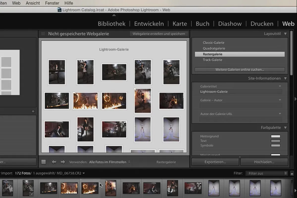 Lightroom pentru începători și avansați: 03 - Elementele de control într-o privire - 3.7 - Web