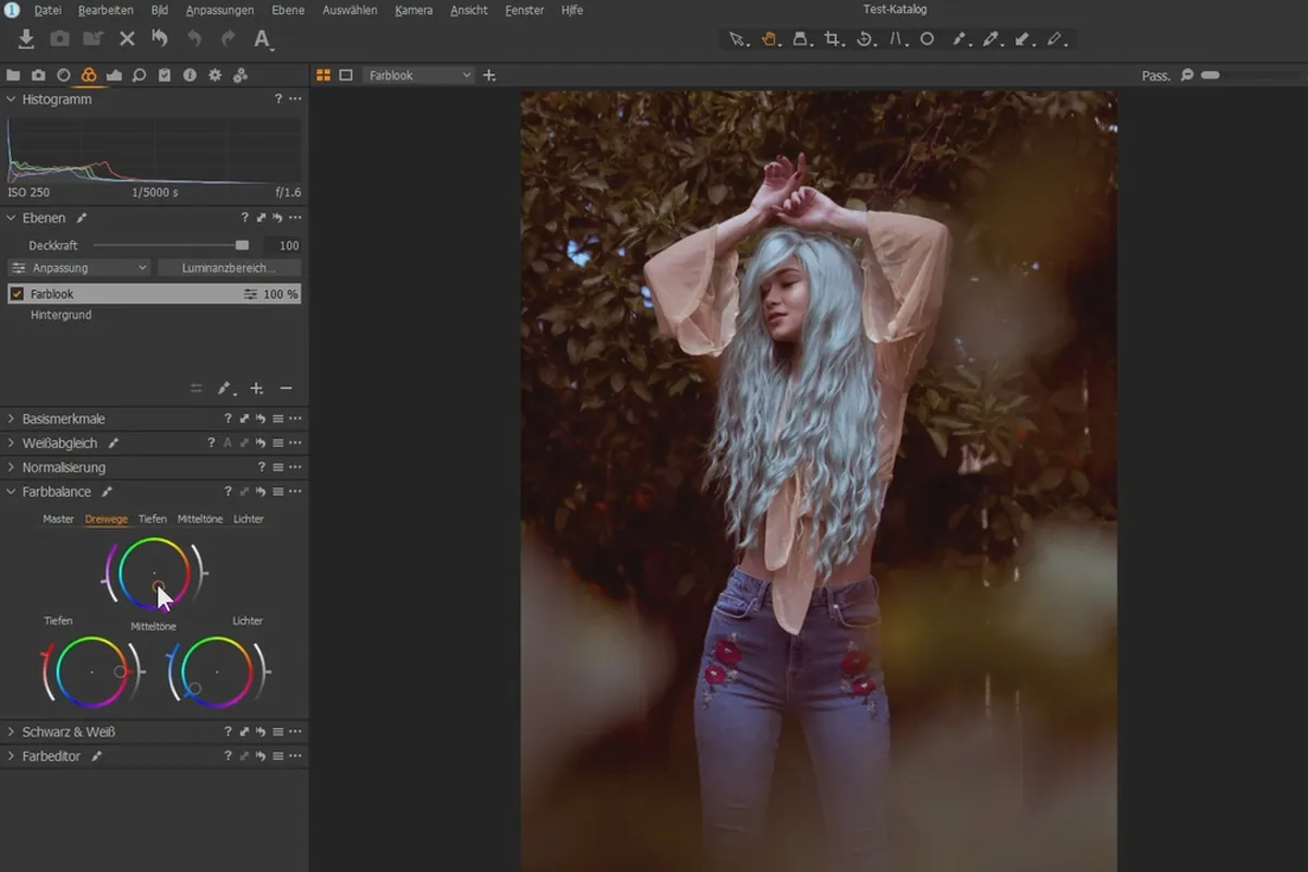 Tutorial Capture One Pro: 3.2 | Straturi