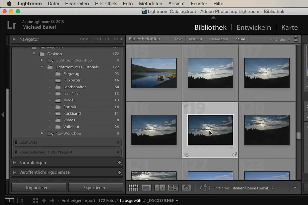 Lightroom pentru începători și avansați: 04 - Catalog - 4.2 - Selectarea imaginilor