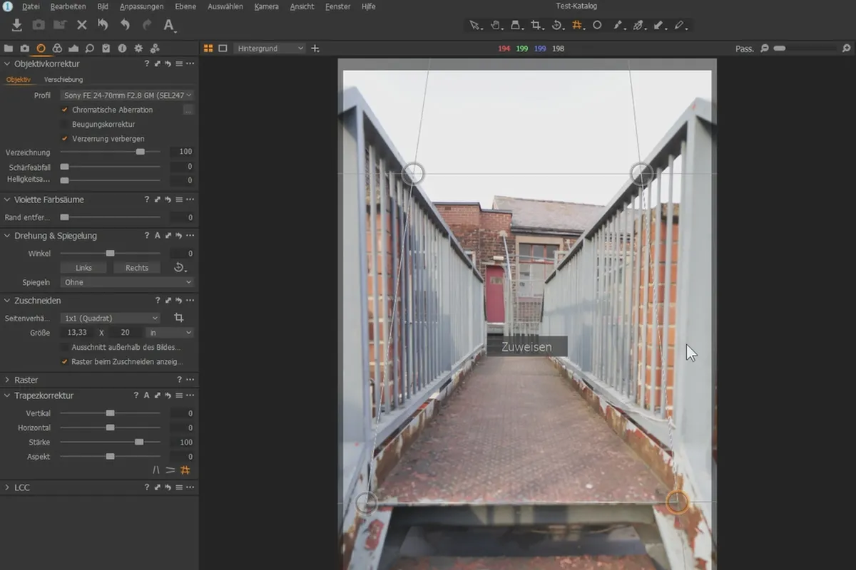 Tutorial Capture One Pro: 3.4 | Instrumente pentru obiective