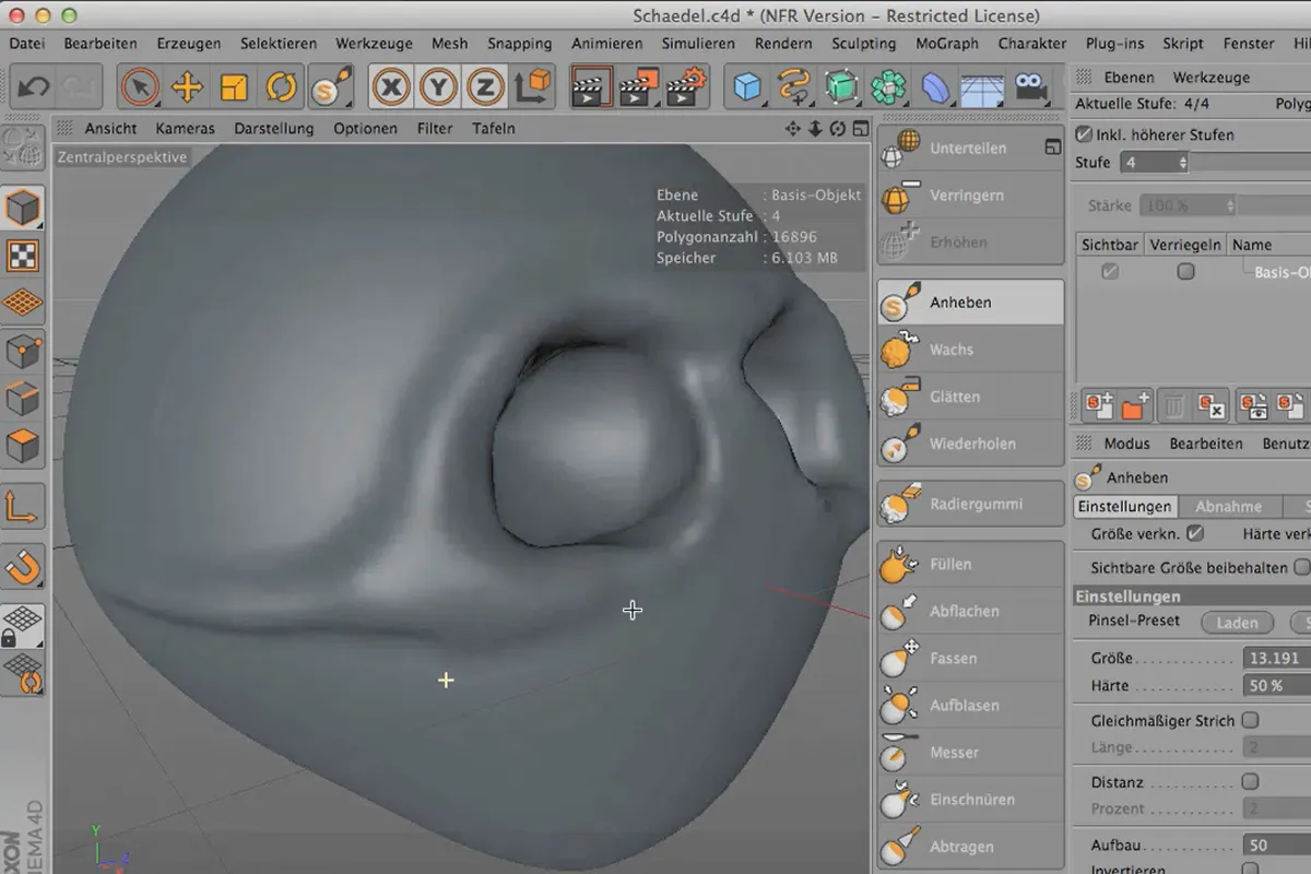 Sculpting in CINEMA 4D - Kreativtraining: Teil 05 - Jochbein