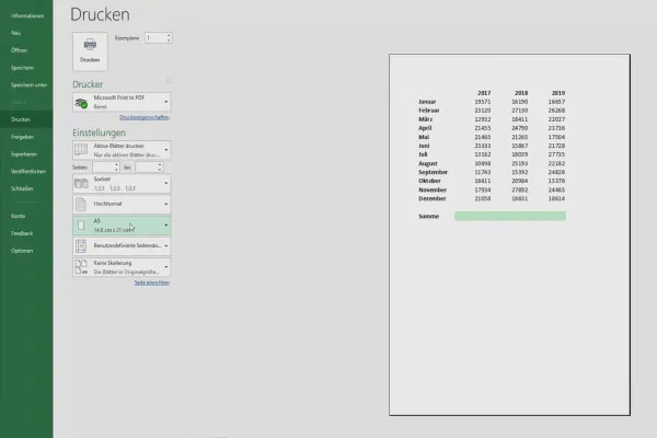 Excel-Tutorial: Pivot, Diagramme und Tabellen-Design zur anschaulichen Daten-Präsentation – 3.7 Druckeinstellungen auf alle Arbeitsblätter