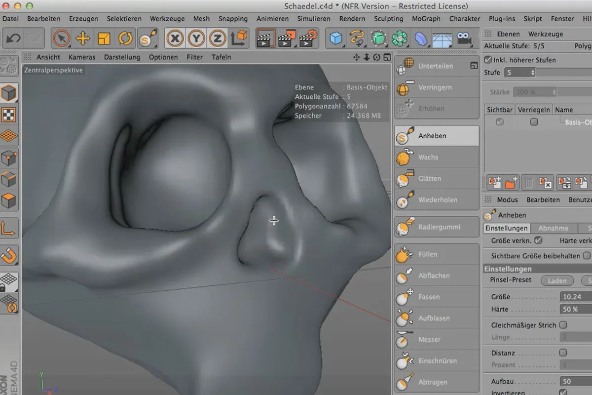 Sculpting in CINEMA 4D - Kreativtraining: Teil 07 - Nase modellieren