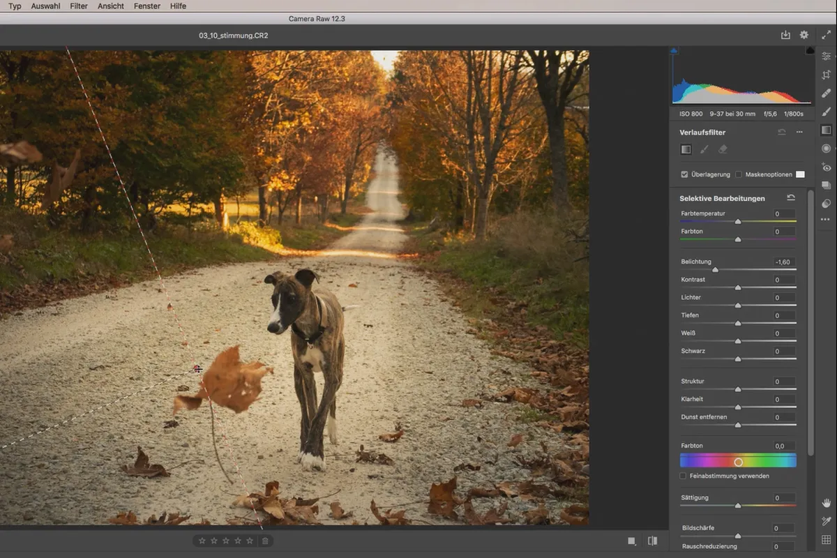 Camera Raw-Tutorial: 3.10 | Stimmungsanpassung