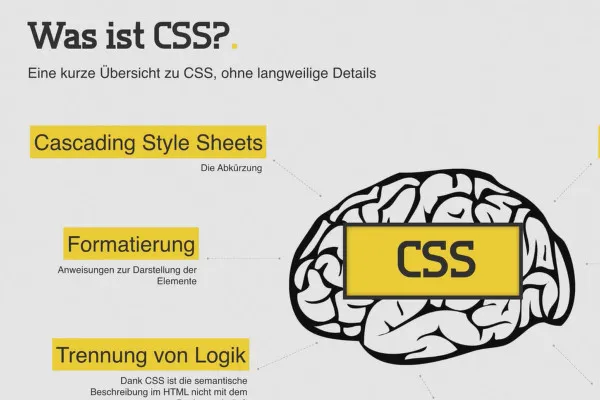 Principiile HTML, CSS și JavaScript - 24 Ce este CSS?