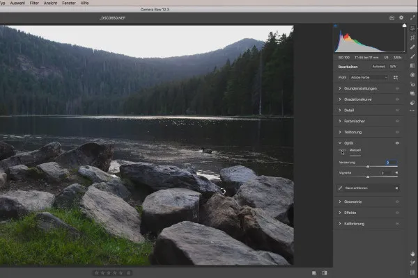 Camera Raw-Tutorial: 3.11 | Objektivkorrektur