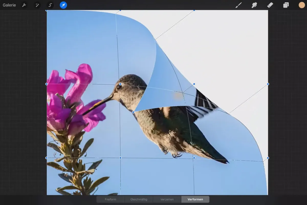 Tutorialul Procreate – Fundamentele desenului digital pe iPad: 4.2 | Transformare