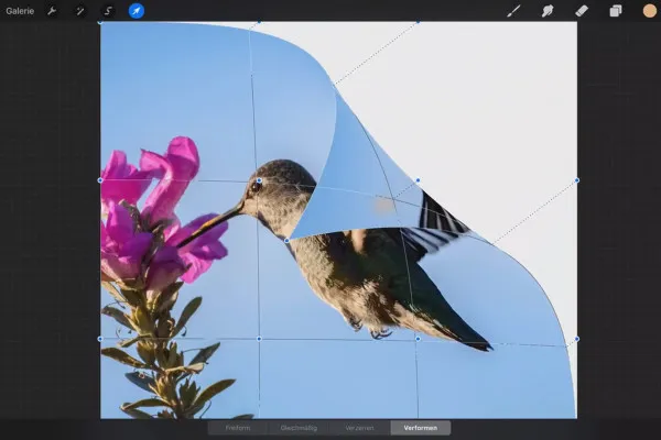 Tutorialul Procreate – Fundamentele desenului digital pe iPad: 4.2 | Transformare