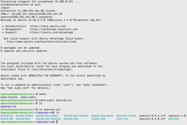 Înțelegerea și configurarea OpenVPN - siguranță în rețea: 5.2 Instalarea OpenVPN