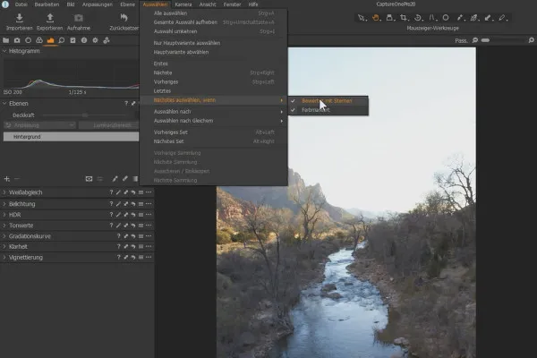 Capture One Pro 20 - Tutorial: 5.2 | Gestionarea mai confortabilă a imaginilor