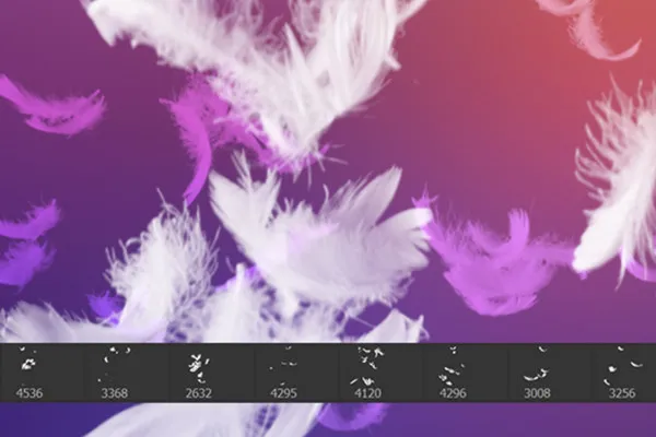 Pinsel für Photoshop und Co: Feder-Motive 2