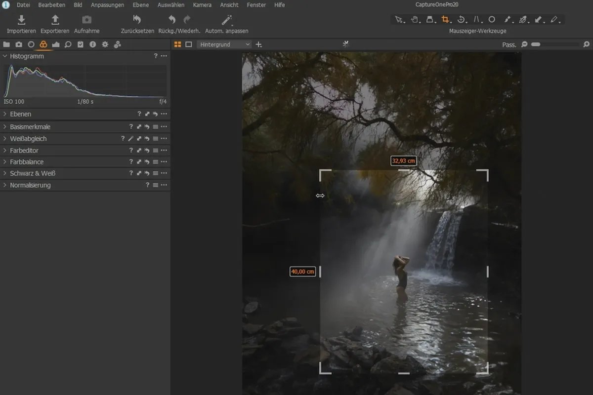 Capture One Pro 20-Tutorial: 5.5 | Instrument de tăiere revizuit