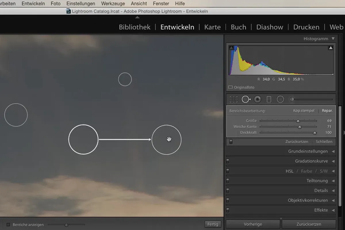 Lightroom pentru începători și avansați: 06 - Instrumente de retușare - 6.3 - Reparare de zonă