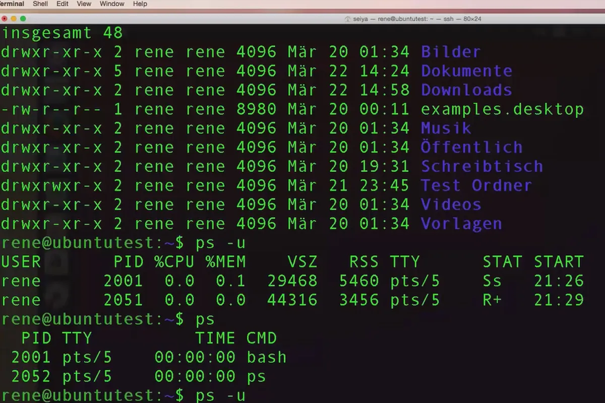 Linux pentru începători – 7.1 Proprietarul fișierelor și directoriilor