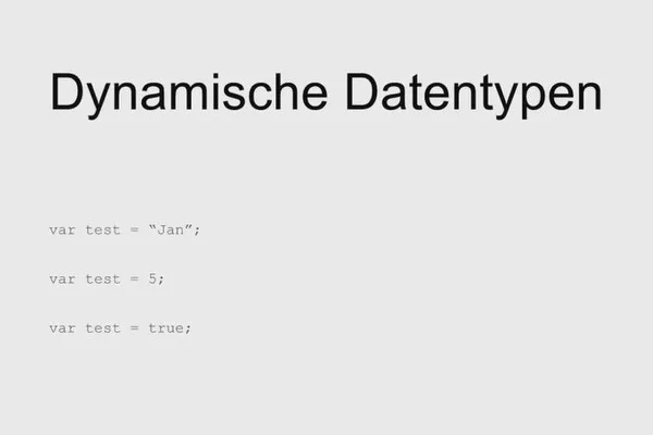 Programarea software pentru începători: 7.8 Tipuri de date statice vs. dinamice