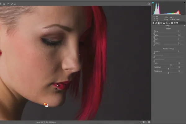 Frequenztrennung in Photoshop – 37 Raw-Entwicklung