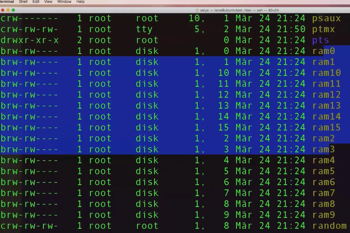 Linux pentru începători - 7.3 Detectarea tipurilor de fișiere