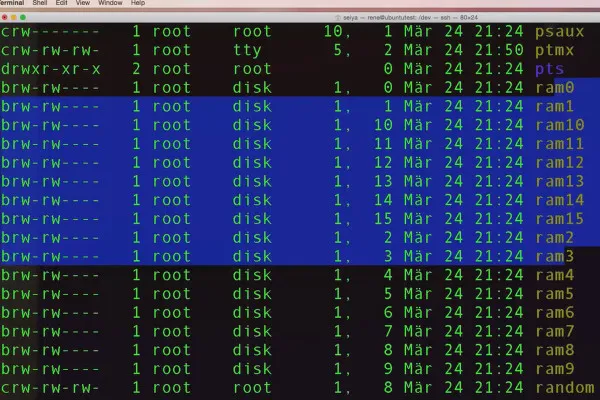 Linux pentru începători - 7.3 Detectarea tipurilor de fișiere