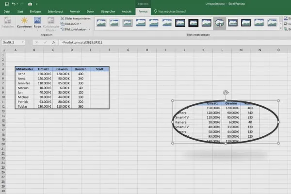 Instruire Excel pentru mai multă eficiență în birou: Calendar, Organigramă etc - 5.3 Lucrul cu "Camera Excel