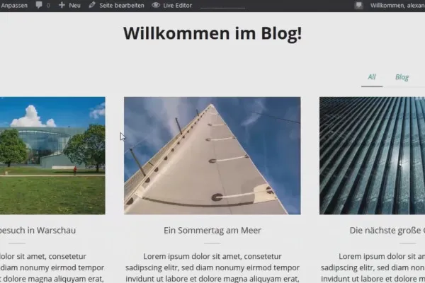 WordPress verstehen und einsetzen: 4.11 Die Blogseite anpassen