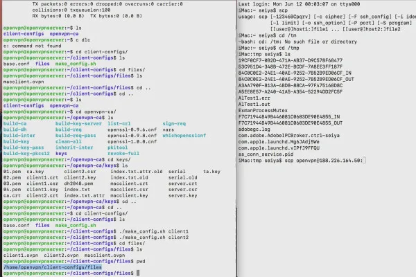 Comprehindeți și configurați OpenVPN - în siguranță în rețea: Transferul fișierului OVPN: Terminalul Linux și macOS.