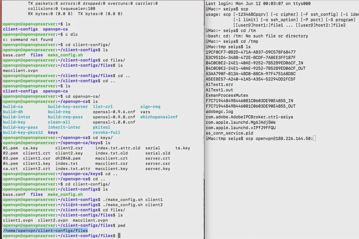 Comprehindeți și configurați OpenVPN - în siguranță în rețea: Transferul fișierului OVPN: Terminalul Linux și macOS.