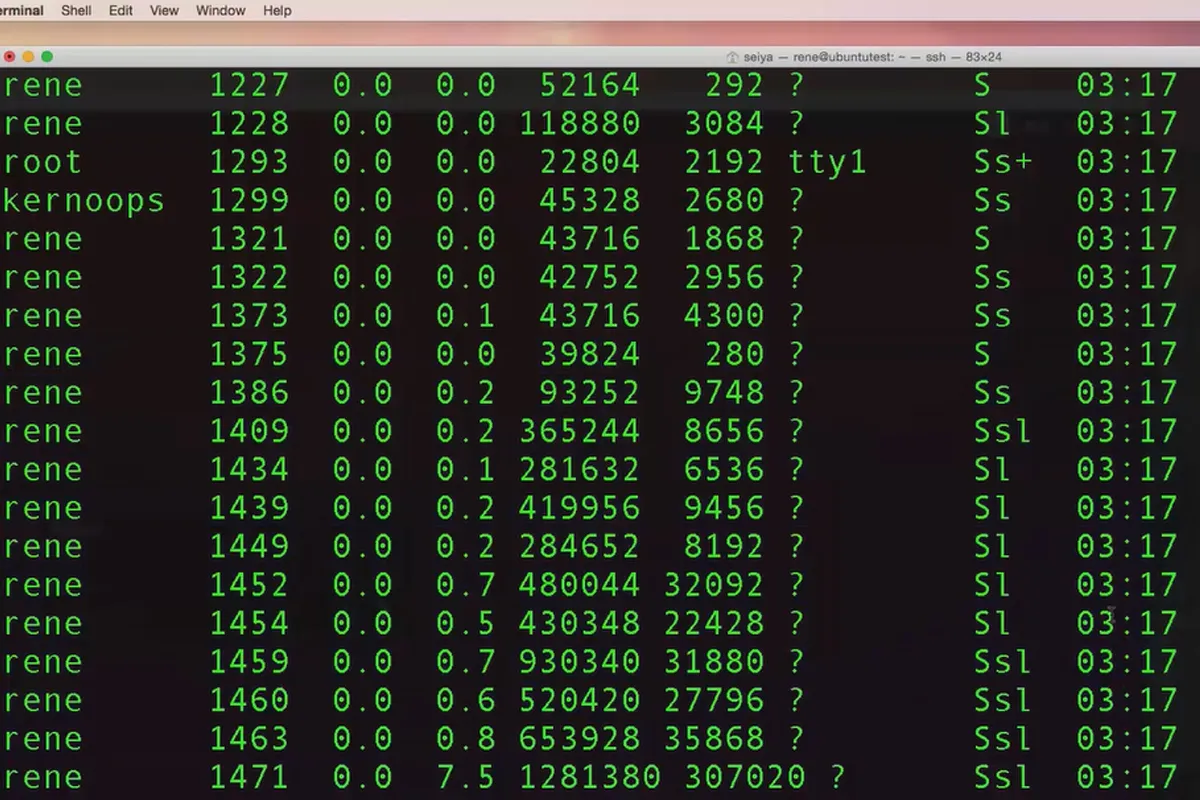 Linux pentru începători - 9.2 Afișarea și oprirea instanțelor și proceselor