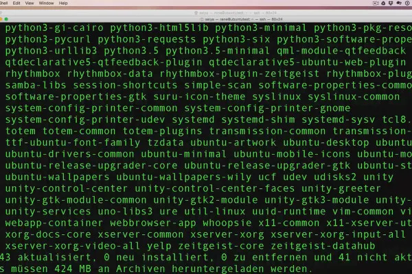 Linux pentru începători - 9.3 Instalarea software-ului cu managerul de pachete APT