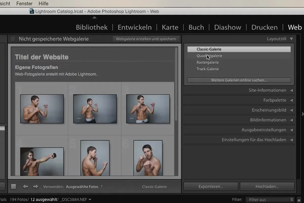 Lightroom pentru începători și avansați: 10 - Web - 10.3 - Setările galeriei