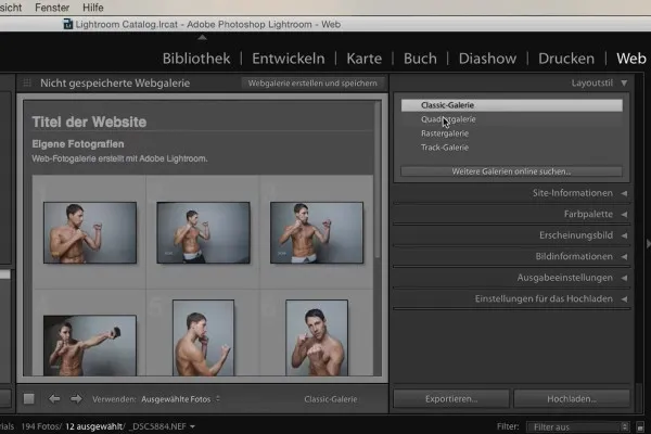 Lightroom pentru începători și avansați: 10 - Web - 10.3 - Setările galeriei