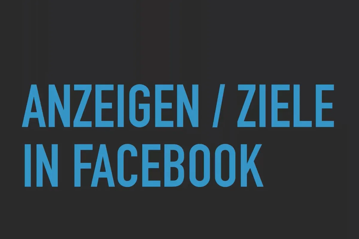 Kundenakquise über Facebook und Google AdWords: 6.7 Marketing-Objectives