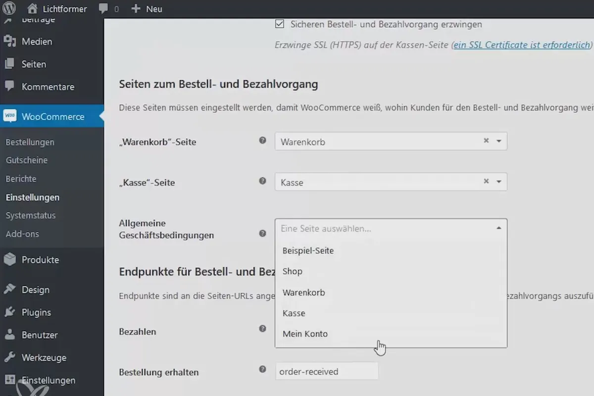 WordPress verstehen und einsetzen: 7.5 Setup: Kasse