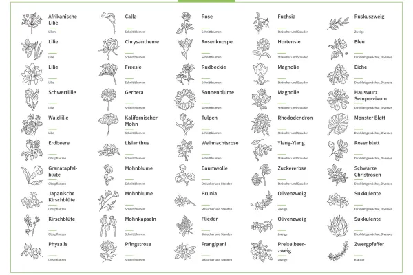 Icons, Grafiken mit Blumen, Kräutern, Blüten