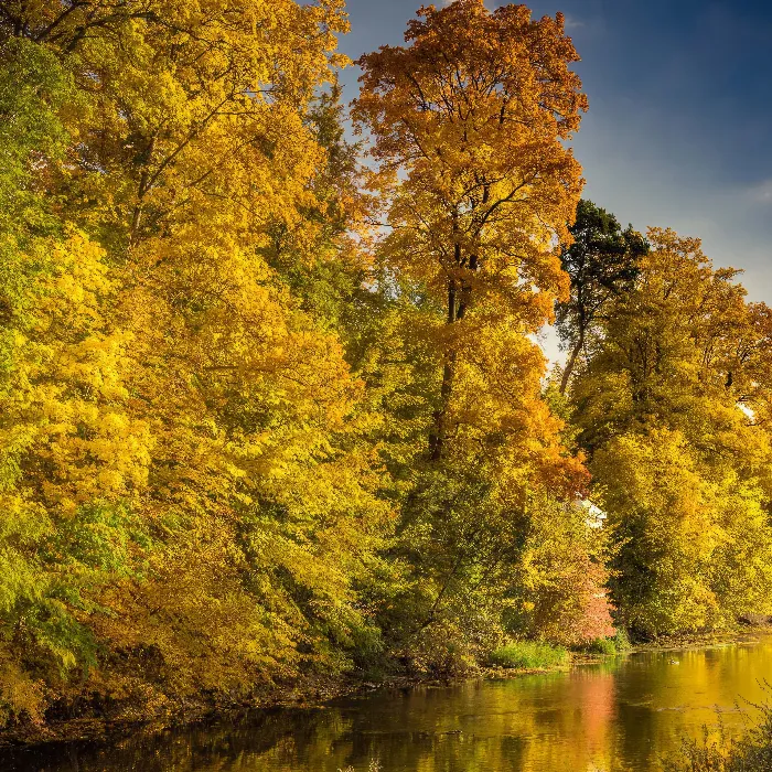 Herbst-Fotografie: Fotoshooting-Tipps