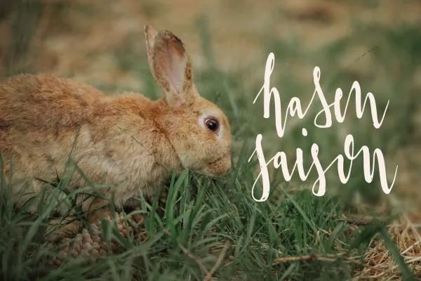 Osterhase, Handlettering Ostern mit Ostergruß